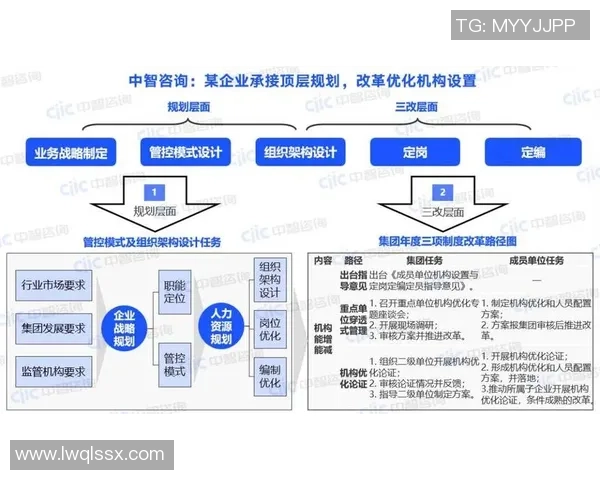 AL与CFO角色对比分析：职能定位、战略价值与企业发展中的协同作用